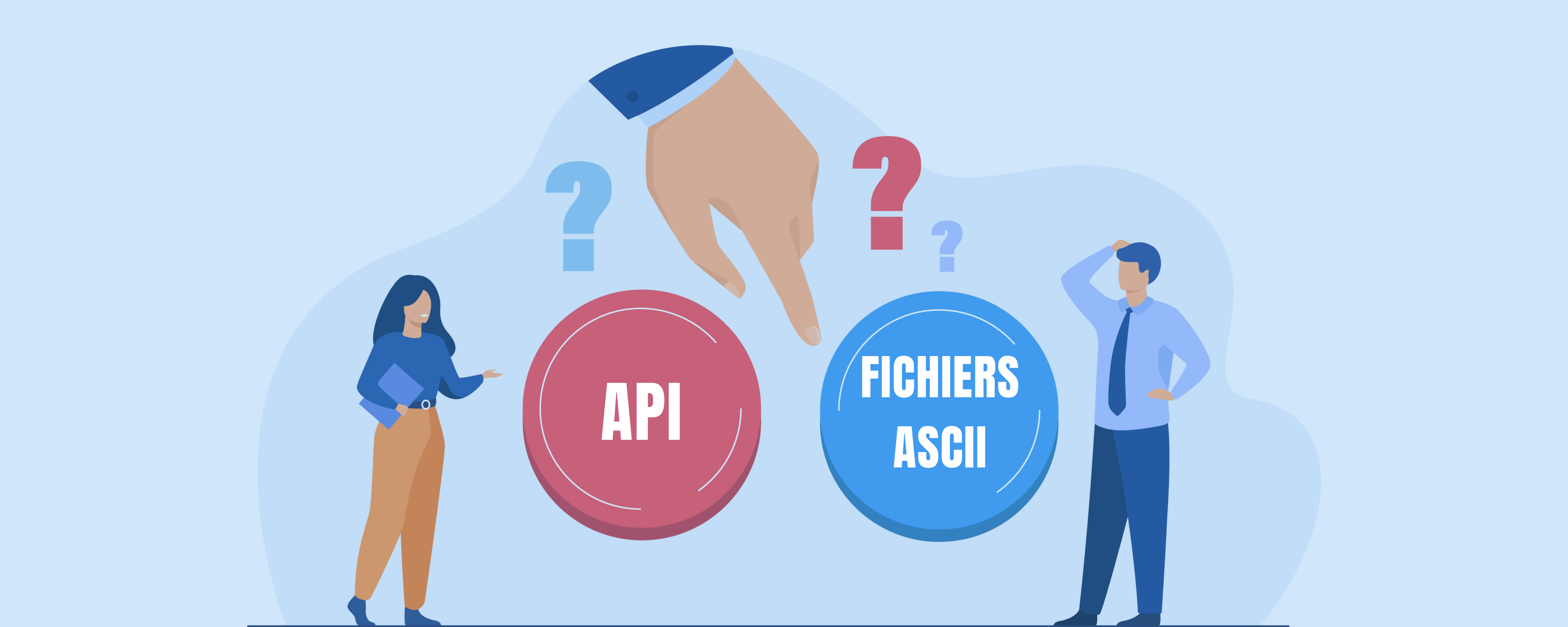 API ou fichiers ASCII